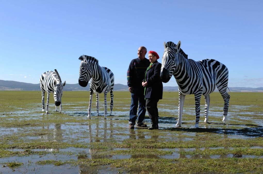 Alan and Julie Aston with their Lake George zebras. Photo: Lannon Harley