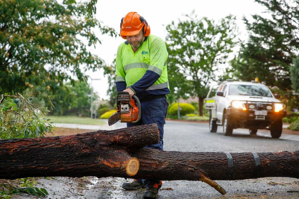 An ACT government worker works on a tree that fell in Florey during Tuesday afternoon's thunderstorm. Photo: Sitthixay Ditthavong Photo: Sitthixay Ditthavong