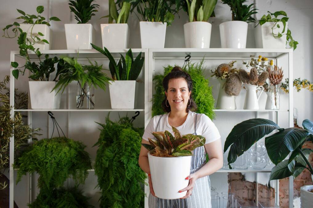 Planted is the new indoor plant delivery service from Renee Douros, who also runs The Floral Society and The Sugar Deli.  Photo: Sitthixay Ditthavong