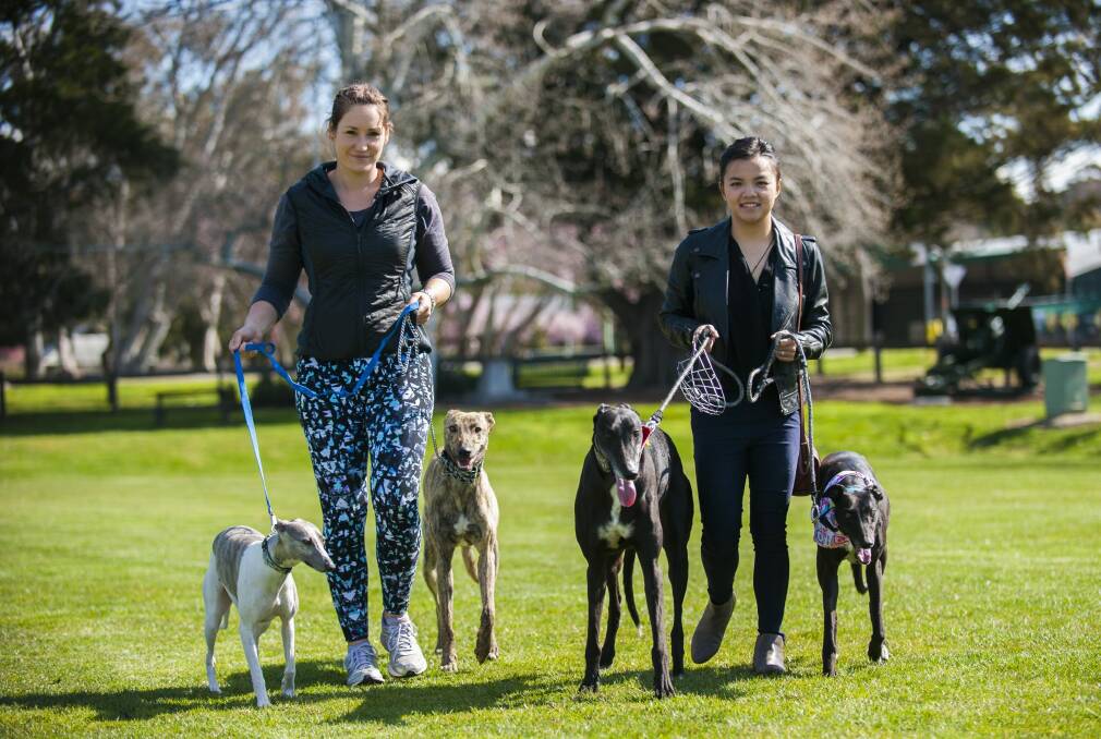 Jodi Finn and Victoria Zhong arepair is among several friends who will take part in this year's event to raise money for Greyhound Rescue. Photo: Elesa Kurtz
