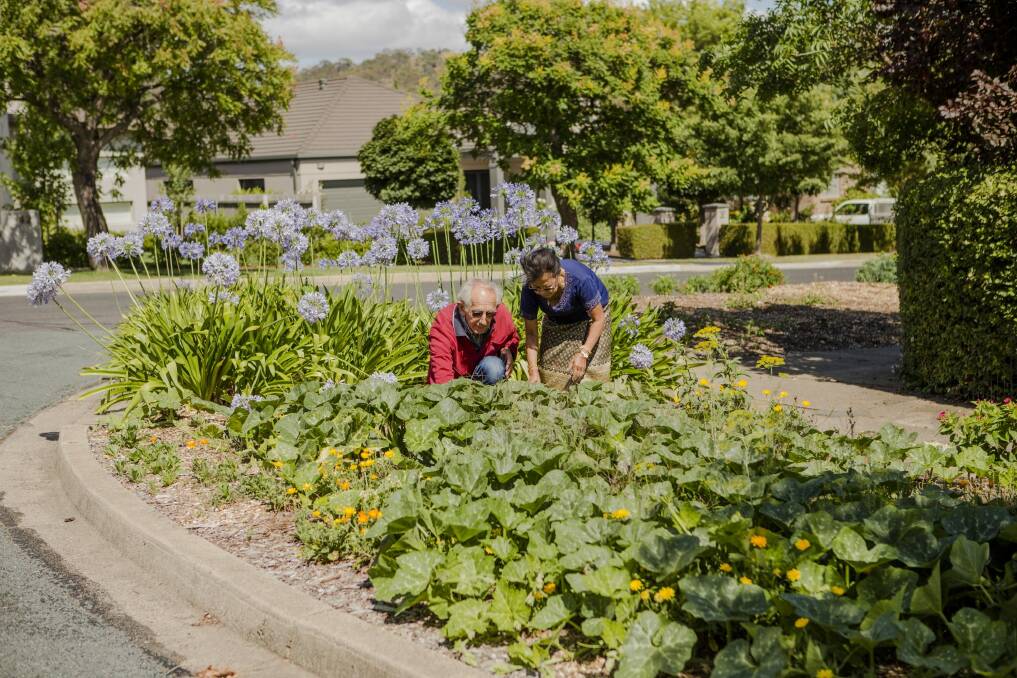 Jim Laity and Chanla Khanthavongsa have had a veggie garden on their nature strip for 10 years, with government approval. Photo: Jamila Toderas