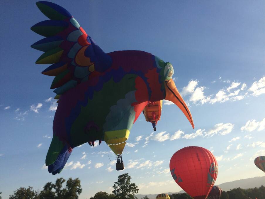 This beautifully coloured Hummingbird balloon from the US is also a new addition to the Canberra Balloon Spectacular this year. Photo: supplied
