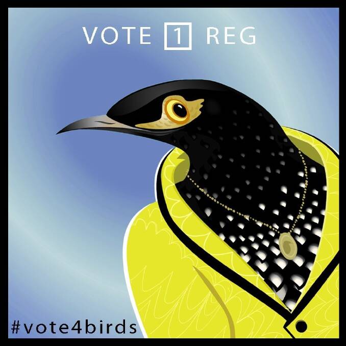 Birdlife Australia election poster for Reg, the Regent Honeyeater. By Julian Chapple. Photo: Birdlife Australia