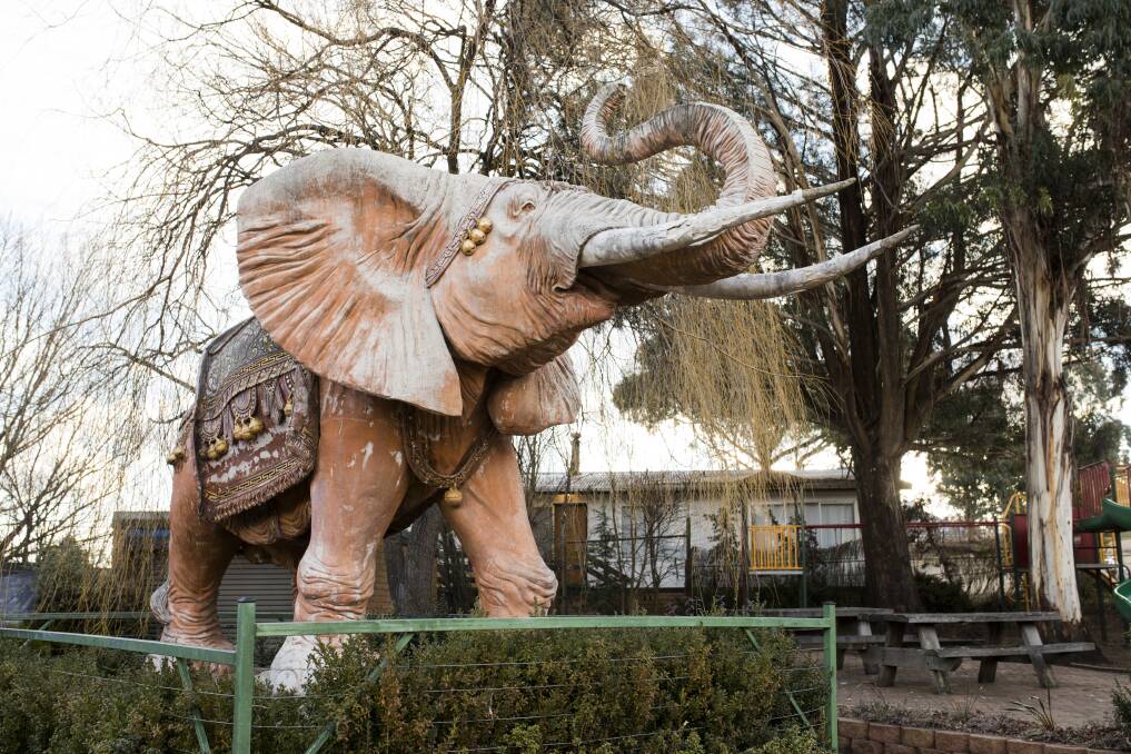 Elephant statue at Nimmitabel. Photo: Jamila Toderas