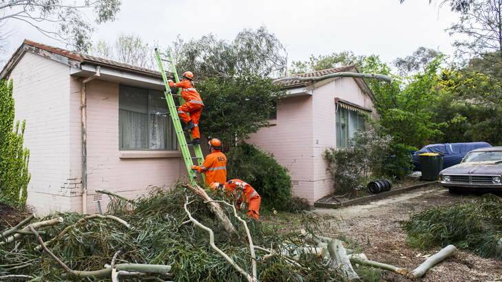 SES workers remove tree branches from a house in Aranda. Photo: Rohan Thomson