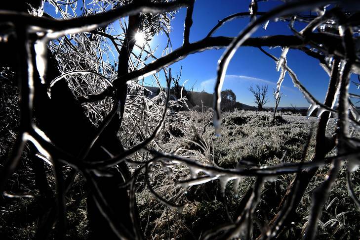 A Canberra Times' photographer's picture of the winter-wonderland created by early morning frost at Mugga Lane tip earlier in the week. Photo: Karleen Minney