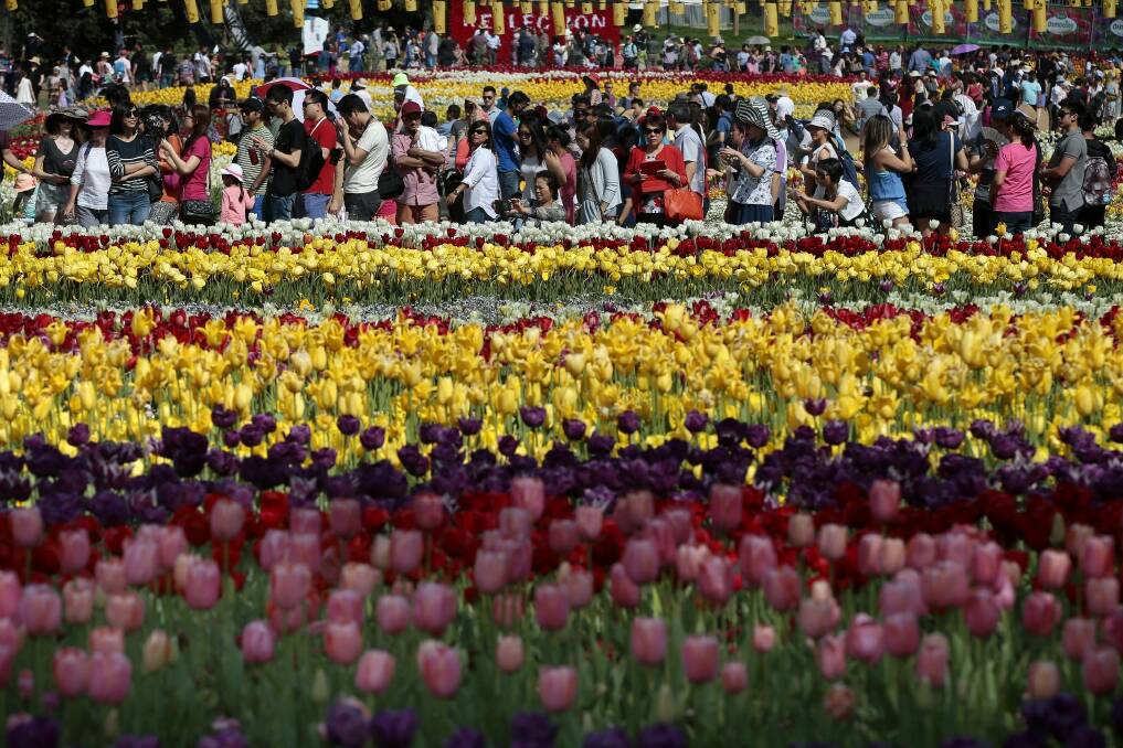 Huge crowds at this years Floriade during the Labour Day Long Weekend. Photo: Jeffrey Chan
