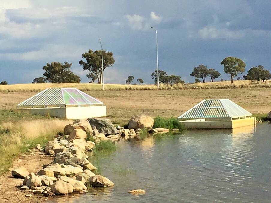This week's Where in Canberra. Photo: Barb Mitchell