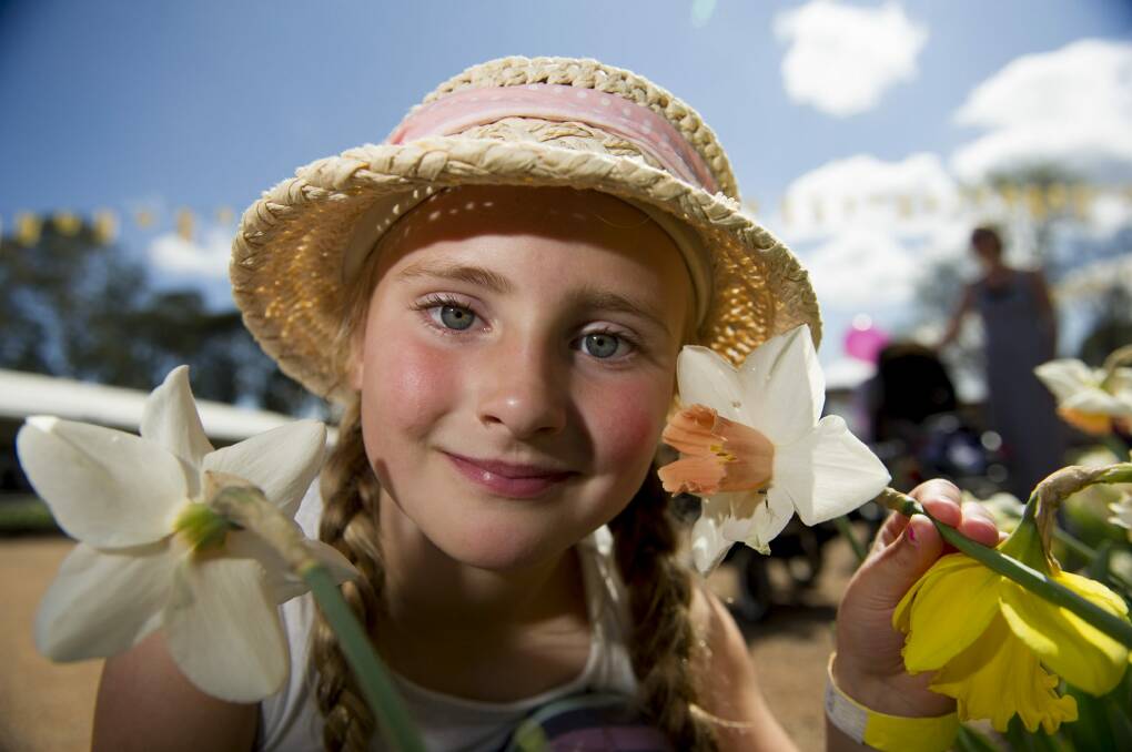 Rowen Stewart, 5, enjoys the flowers at Floriade. Photo: Jay Cronan