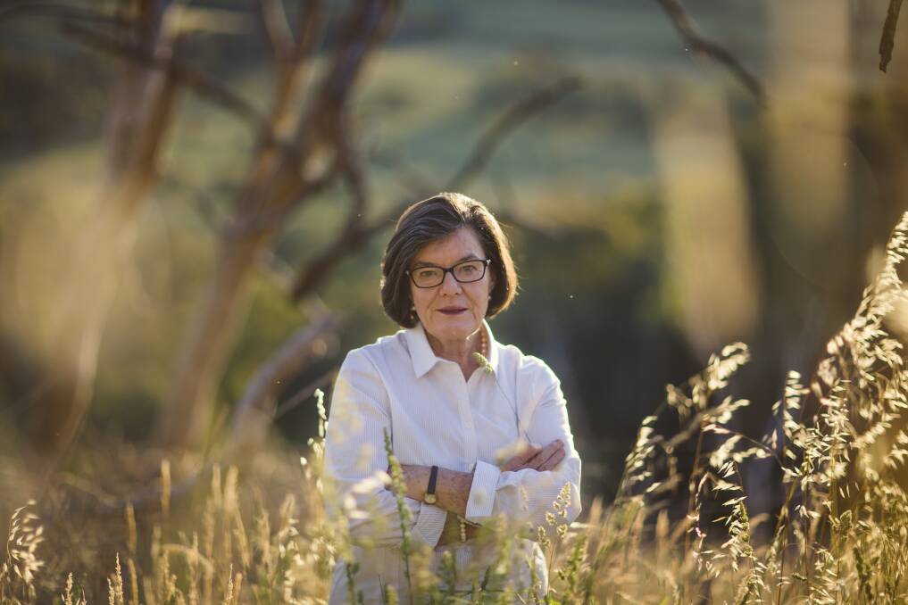 Independent MP Cathy McGowan has long campaigned for a national integrity commission. Photo: Meredith O'Shea