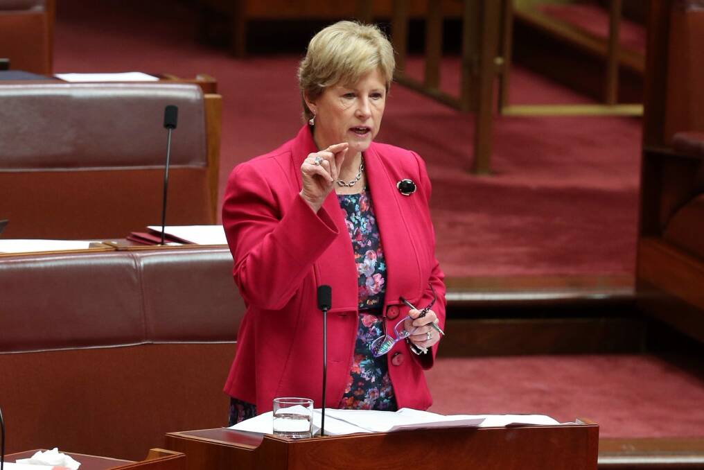Senator Christine Milne will not contest the 2016 election. Photo: Andrew Meares