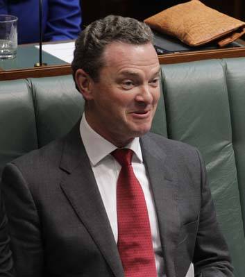 "This is not an act, it is an inaction" ... federal opposition education spokesman, Christopher Pyne. Photo: Andrew Meares