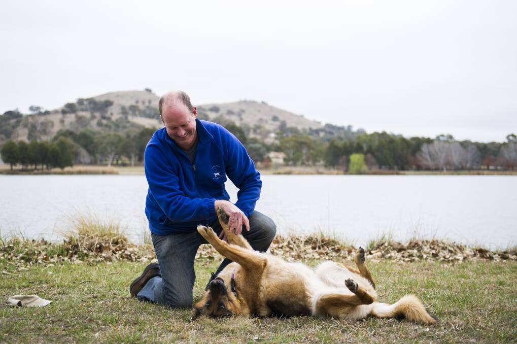 Dale Richardson plays with his seven-year-old German Shepherd Kayla. Mr Richardson said there should be a system of compulsory training for dogs found to be overly aggressive. Photo: Dion Georgopoulos