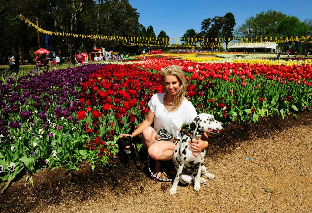 Dogs will be allowed in for Floriade's dog day out on Saturday.  Photo: Melissa Adams