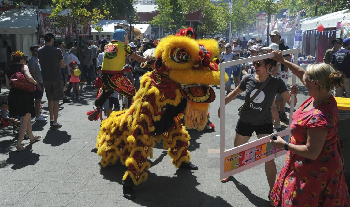 A Chinese lion weaves its way through the crowd at the multicultural festival. Photo: Graham Tidy.