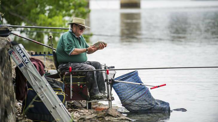 Howard Hill looks at a small carp he has just caught. Photo: Rohan Thomson