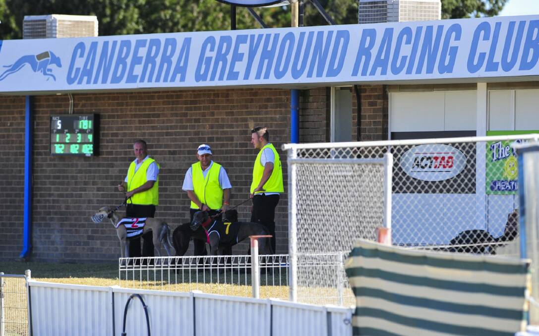 Canberra Greyhound Club says it has donated more than $60,000 to individuals or organisations over the last three years alone. Photo: Melissa Adams
