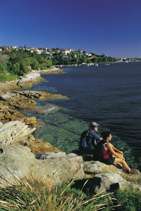 The Hermitage Foreshore Track provides million-dollar views over the harbour. Photo: Tourism NSW