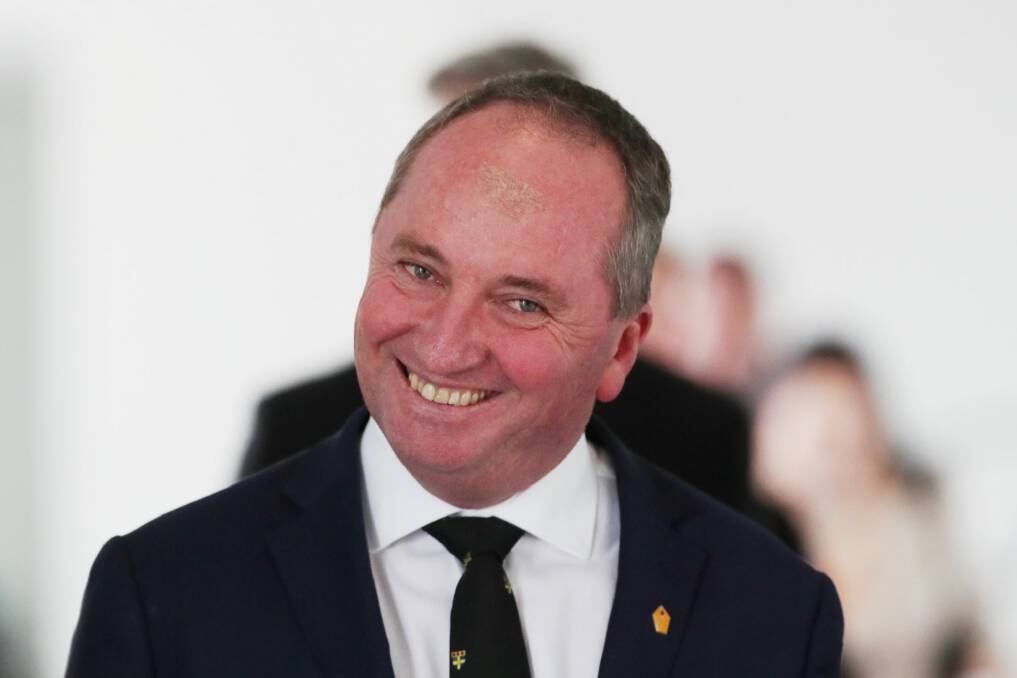 Barnaby Joyce will be beaming if found eligible for parliament by the High Court. Photo: Andrew Meares