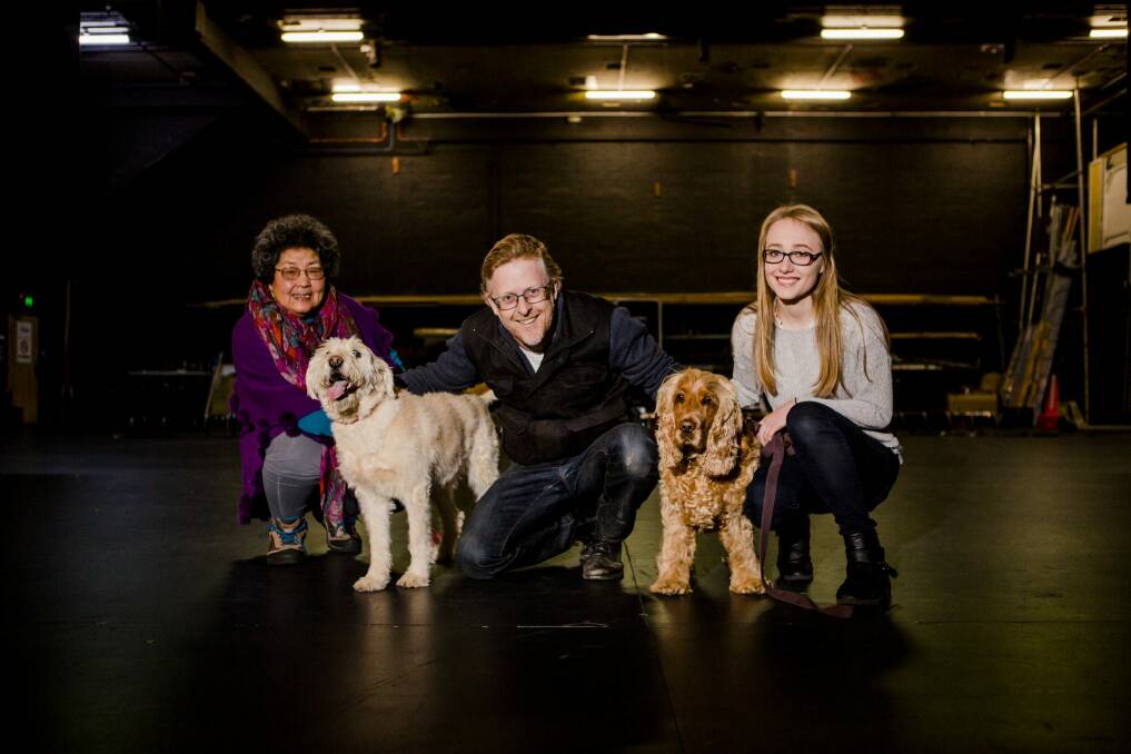 Dog auditions at the Canberra Theatre. from left, Lulu Turner with her dog Xavi, Artistic director Damien Ryan, and Marcella Zankin with her dog Muka.
 Photo: Jamila Toderas