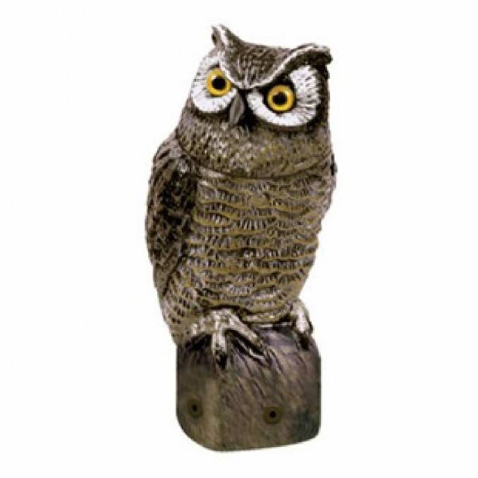 Head-swivelling electric garden owl Photo:  