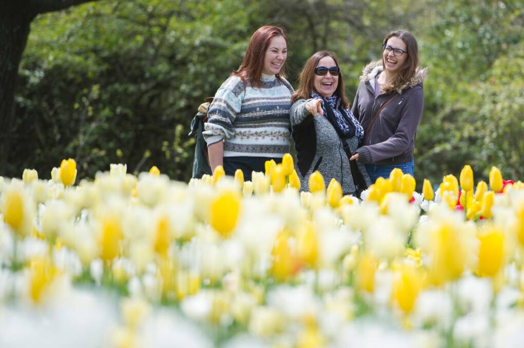 Daniella Queenan, Elsa Mardones and Sarah Sannen enjoying a little sunshine at Floriade on Monday. Photo: Jay Cronan