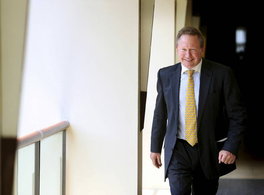 Mining magnate Andrew Forrest. Photo: Kym Smith