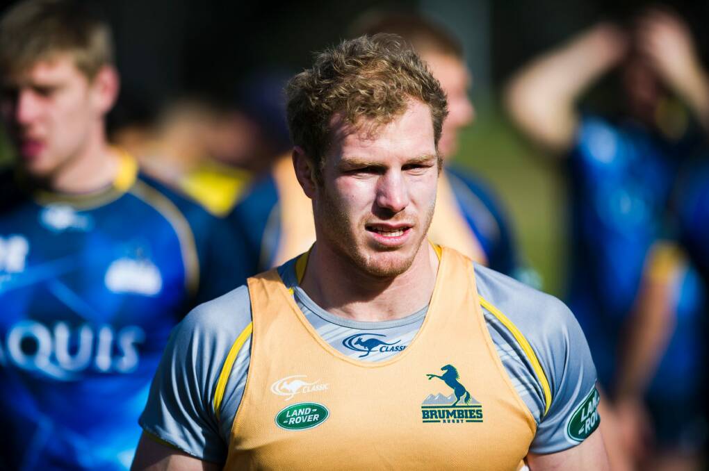 David Pocock is taking a 12-month sabbatical from Australian rugby. Photo: Rohan Thomson