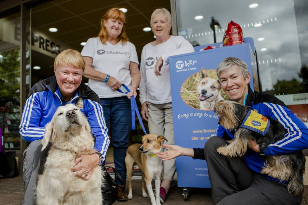 A donation bin for rescue dog's has been launched at Ainslie Shops.
(Back) ARF members Helen Shannon and Wendy Parsons with co-owners of Dogs on the Run Barbara Grundy and Carolyn Kidd.

 Photo: Jamila Toderas
