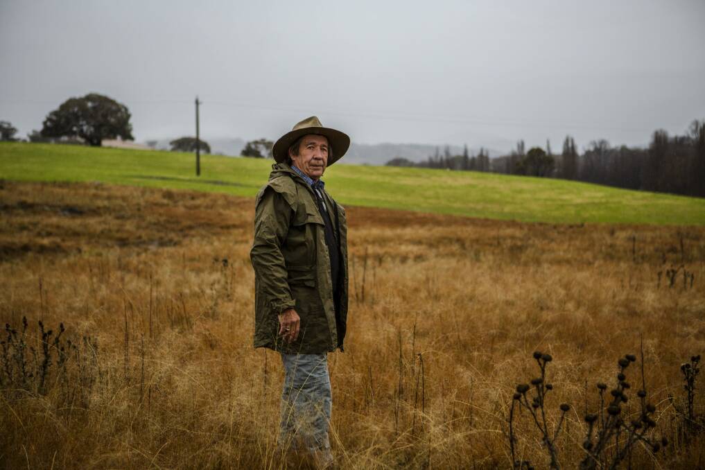 Geoff Butler, Weed officer of the Conservation Council for Canberra. Photo: Jamila Toderas