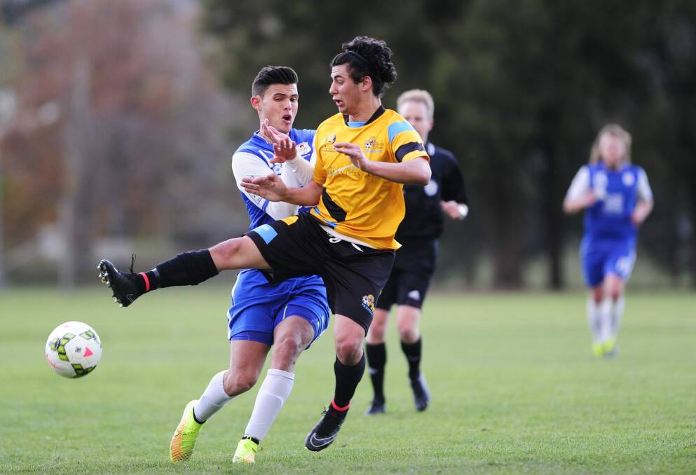Adam Rogic of Canberra Olympic (blue) and Julian Borgna of Tigers FC (yellow) battle for possession in Sunday's National Premier League game. Photo: Melissa Adams