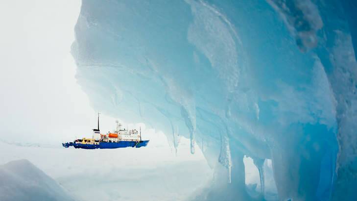 The Australian Antarctic Division might be forced to fund itself with charitable donations. Photo: Andrew Peacock