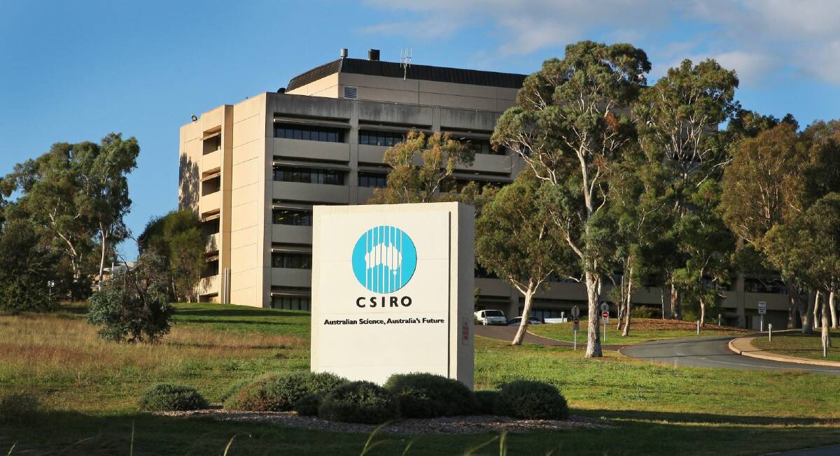 The CSIRO headquarters before the building was vacated about 18 months ago. Photo: Andrew Sheargold