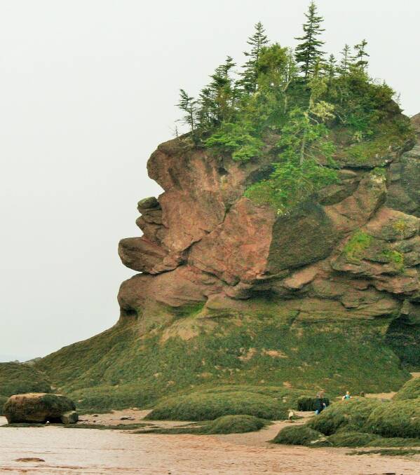 The Sphinx at Bay of Fundy, gazing out to sea at Hopewell Rocks. Photo: Cathie Humphries