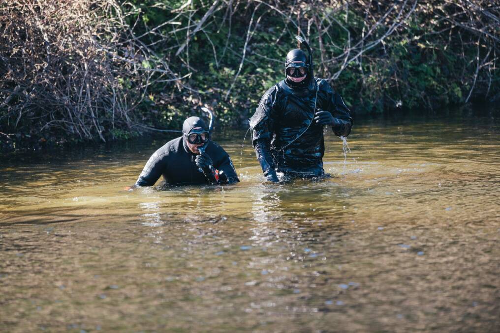 Police divers searching the Queanbeyan River in Karabar.  Photo: Rohan Thomson