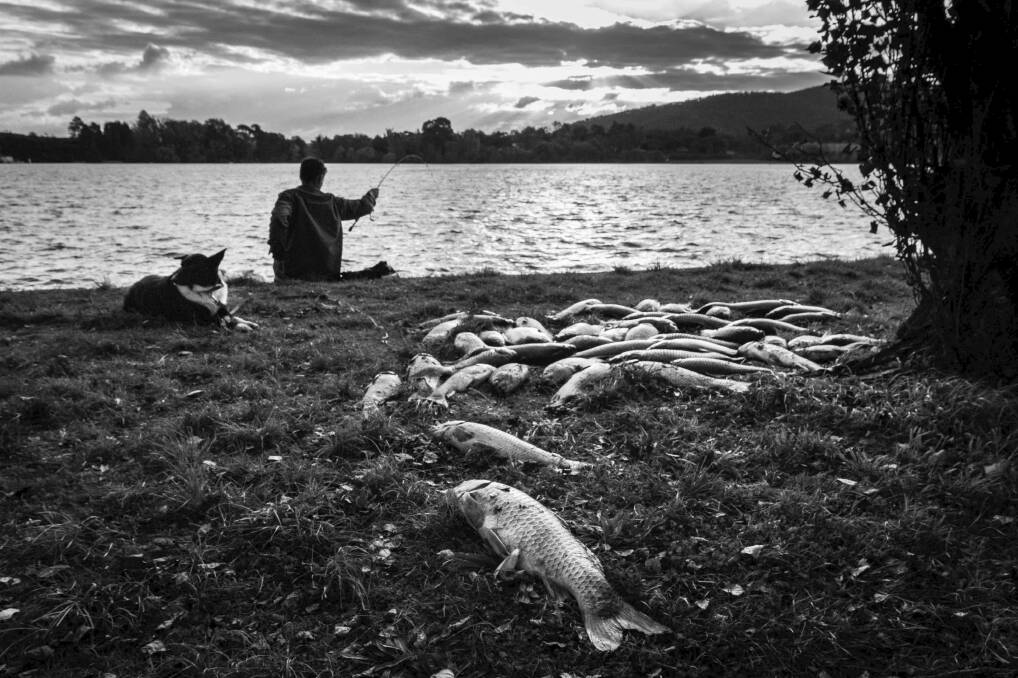 The fisherman, his dog, and the enormous catch. Photo: Andrew Cressie