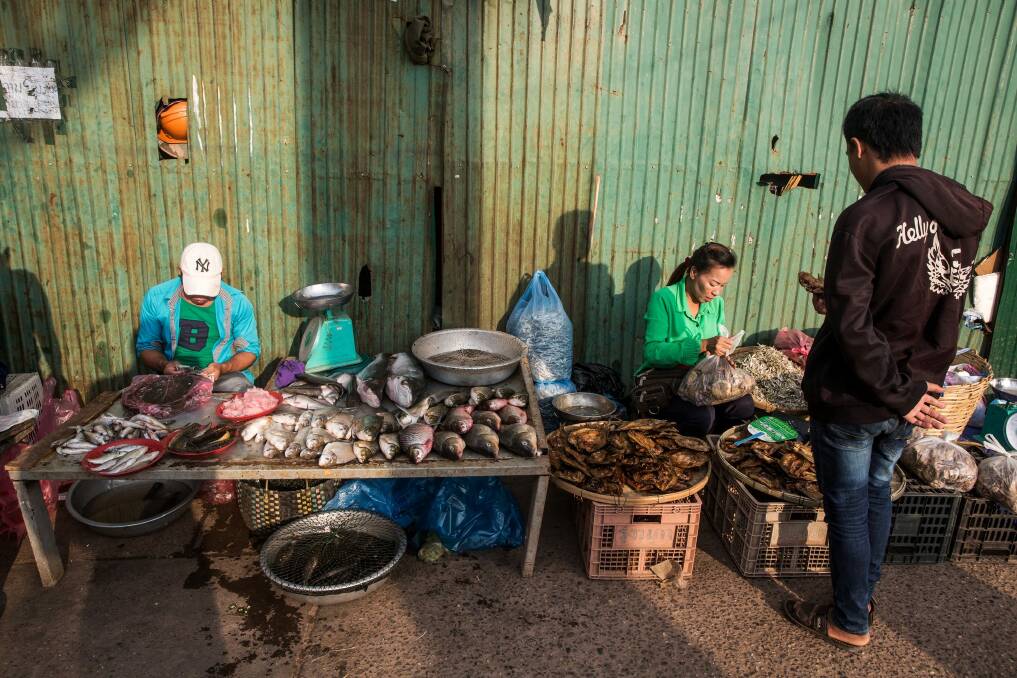 A dried-fish vendor at a morning market in Vientiane. Photo: Taylor Weidman