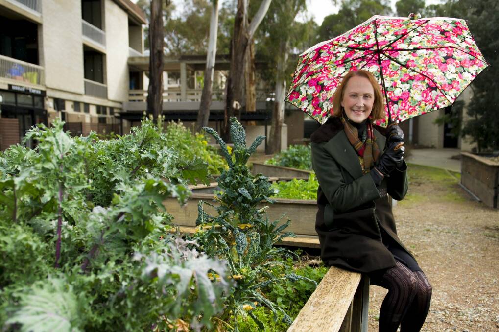 Assistant Professor Gabrielle O'Kane in the vegetable garden at the University of Canberra.  Photo: Jay Cronan