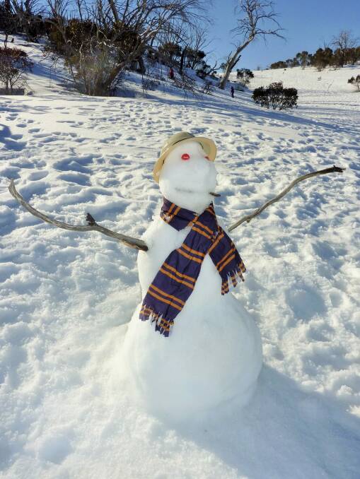 Old timer: The stalwart snowman of Selwyn. Photo: Tim the Yowie Man