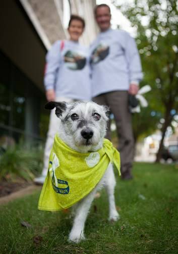 Jamie-Leigh's three-legged dog Fred will be walking with her parents on Sunday. Photo: Katherine Griffiths
