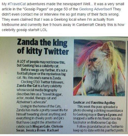 A Facebook post from Zanda the Cat about the brush with a newspaper in Geelong. 