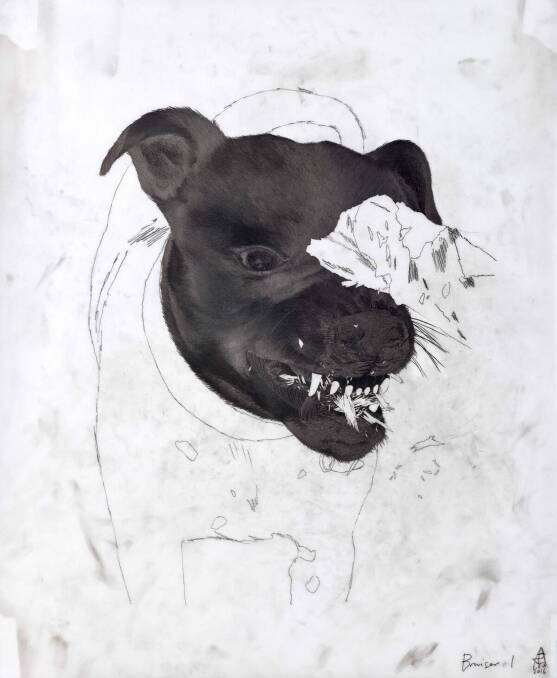 Lucienne Rickard, Bruiser I, in Winter Drawings at Beaver Galleries. Photo: Supplied