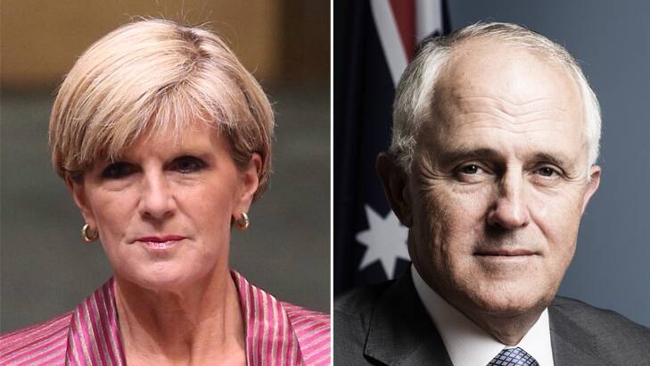 Potential PMs? Foreign Affairs Minister Julie Bishop and Communications Minister Malcolm Turnbull. Photo: Andrew Meares, Nic Walker