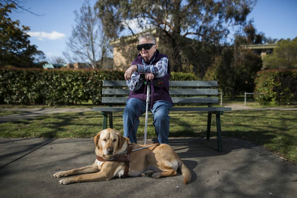 Lyneham resident, Anna Saxon waiting for a bus with her guide dog. She finds it very difficult to get around Canberra and plans to attend the Council on the Ageing forum.  Photo: Rohan Thomson