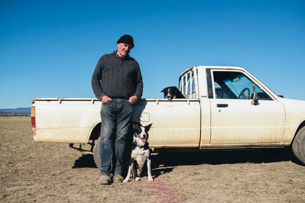Bill Chalmers waits with his three-legged dog Tom during the Bungendore sheepdog trials on Sunday. Photo: Rohan Thomson