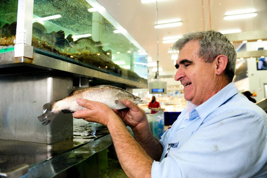 John Fragopoulos, pictured holding a barramundi in his FishCo store in Fyshwick last year. Photo: Melissa Adams