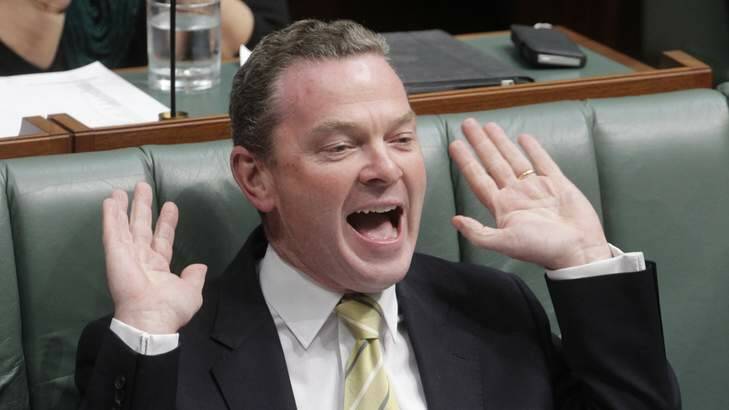 Opposition education spokesman Christopher Pyne. Photo: Andrew Meares