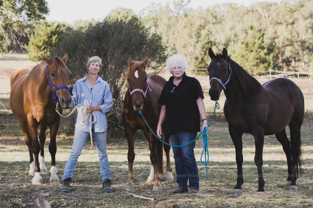 The ACT Equestrian Association is concerned that household delivery drones could threaten the future of the recreation in Canberra.
From left, Secretary of the ACT Endurance Riders Association Maxine McArthur, and The ACT Equestrian Association president Christine Lawrence. Photo: Jamila Toderas