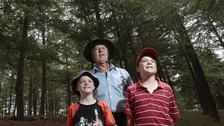 Stewart Borrie from Kaleen with  from left, grand kids Andrew Borrie 9 and James Borrie 11 take a look at the Himalayan Cedars at the National Arboretum. Photo: Jeffrey Chan