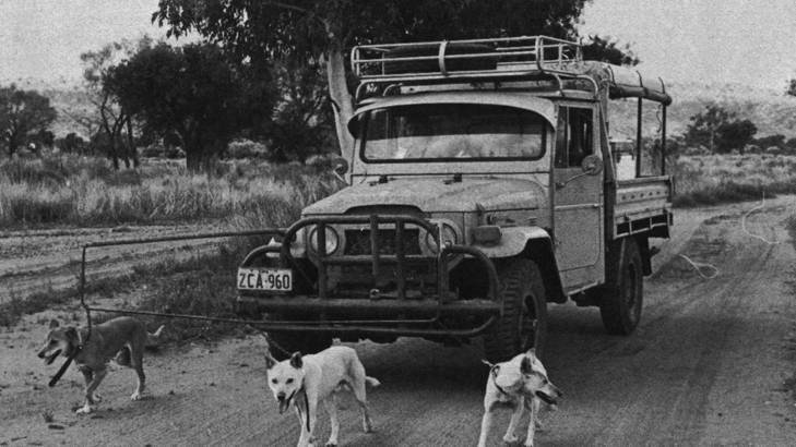 Failed experiment: in the 1970s, when this photo was maybe taken. CSIRO's answer to an efficiency dividend was a dog of an idea. Photo: CSIRO